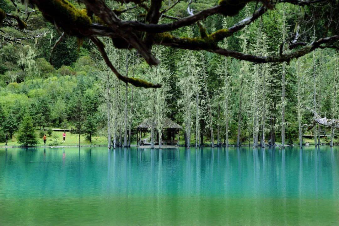 cfr是中国消防缩写吗?-专业问答|解答你的疑惑-cfr是中国消防缩写吗?网站